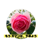 マイルドな人生5（個別スタンプ：16）
