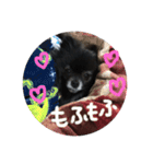 くぅのスタンプ2（個別スタンプ：1）