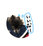 くぅのスタンプ2（個別スタンプ：12）
