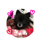 くぅのスタンプ2（個別スタンプ：15）