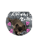 くぅのスタンプ2（個別スタンプ：22）