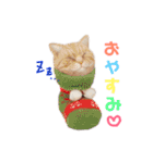 羊毛ねこの一言スタンプ（個別スタンプ：14）