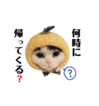 羊毛ねこの一言スタンプ（個別スタンプ：20）