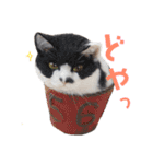 羊毛ねこの一言スタンプ（個別スタンプ：28）