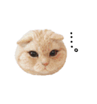 羊毛ねこの一言スタンプ（個別スタンプ：32）