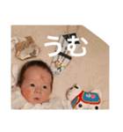 悠真スタンプNo1（個別スタンプ：38）