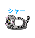 しゃーねこ（個別スタンプ：3）