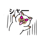 しゃーねこ（個別スタンプ：6）