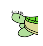 ゆるっ亀（個別スタンプ：2）
