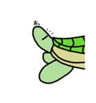 ゆるっ亀（個別スタンプ：3）