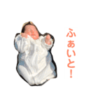 さくちゃん---スタンプ（個別スタンプ：7）