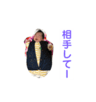 さくちゃん---スタンプ（個別スタンプ：31）