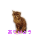 クリバンだよ（個別スタンプ：1）