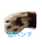 クリバンだよ（個別スタンプ：8）