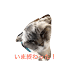 クリバンだよ（個別スタンプ：13）