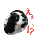 あんちゃんとたろうくん1（個別スタンプ：3）