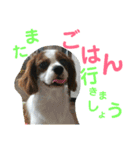 あんちゃんとたろうくん1（個別スタンプ：4）