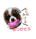 あんちゃんとたろうくん1（個別スタンプ：9）