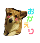 あんちゃんとたろうくん1（個別スタンプ：12）
