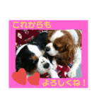 あんちゃんとたろうくん1（個別スタンプ：16）