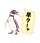 動物スタンプ 【 ZOO.Ⅱ】（個別スタンプ：17）