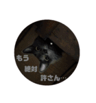 メイリオマックのスタンプ2（個別スタンプ：3）