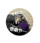 メイリオマックのスタンプ2（個別スタンプ：6）
