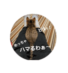 メイリオマックのスタンプ2（個別スタンプ：7）