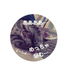 メイリオマックのスタンプ2（個別スタンプ：8）