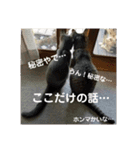 メイリオマックのスタンプ2（個別スタンプ：9）