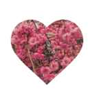 美しい桜の花（個別スタンプ：4）
