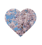 美しい桜の花（個別スタンプ：9）