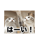 む〜し〜ズ（個別スタンプ：3）