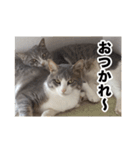 む〜し〜ズ（個別スタンプ：4）