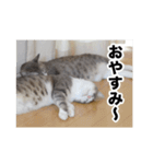 む〜し〜ズ（個別スタンプ：5）