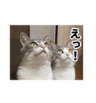む〜し〜ズ（個別スタンプ：6）