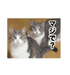 む〜し〜ズ（個別スタンプ：7）