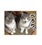 む〜し〜ズ（個別スタンプ：8）
