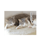 む〜し〜ズ（個別スタンプ：9）
