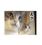 む〜し〜ズ（個別スタンプ：11）