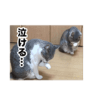 む〜し〜ズ（個別スタンプ：13）