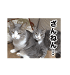む〜し〜ズ（個別スタンプ：14）