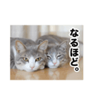 む〜し〜ズ（個別スタンプ：15）