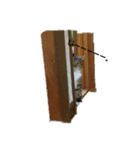 花と時々ムサシ（個別スタンプ：7）