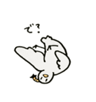 はと殿さま（個別スタンプ：13）