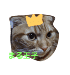 まるすた1（個別スタンプ：13）