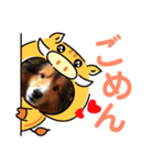 愛犬キティ（個別スタンプ：8）