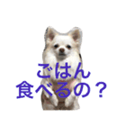 さくと慧の日常（個別スタンプ：1）