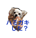 さくと慧の日常（個別スタンプ：2）