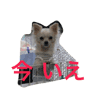 さくと慧の日常（個別スタンプ：5）